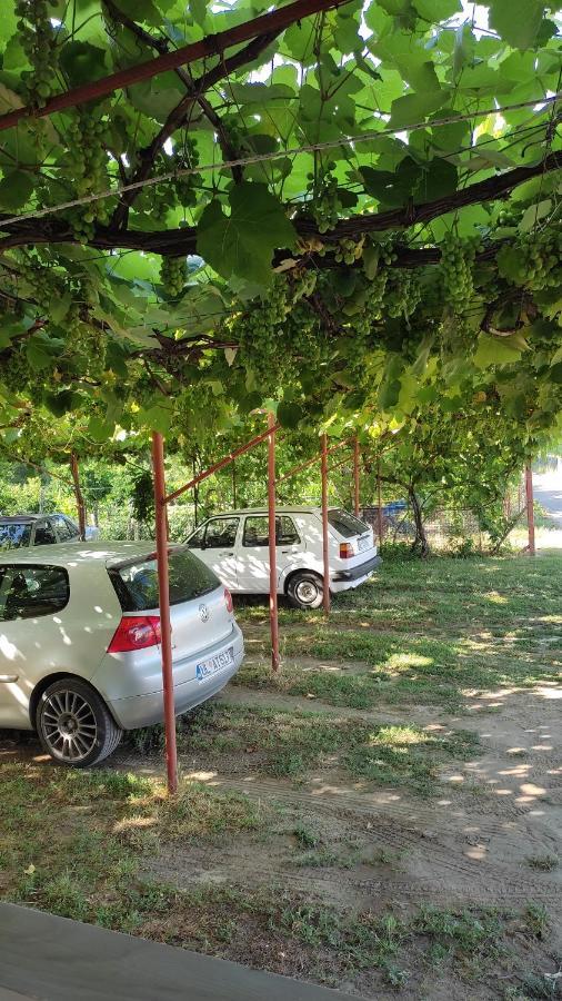 Kastrati Apartments Ulcinj Buitenkant foto