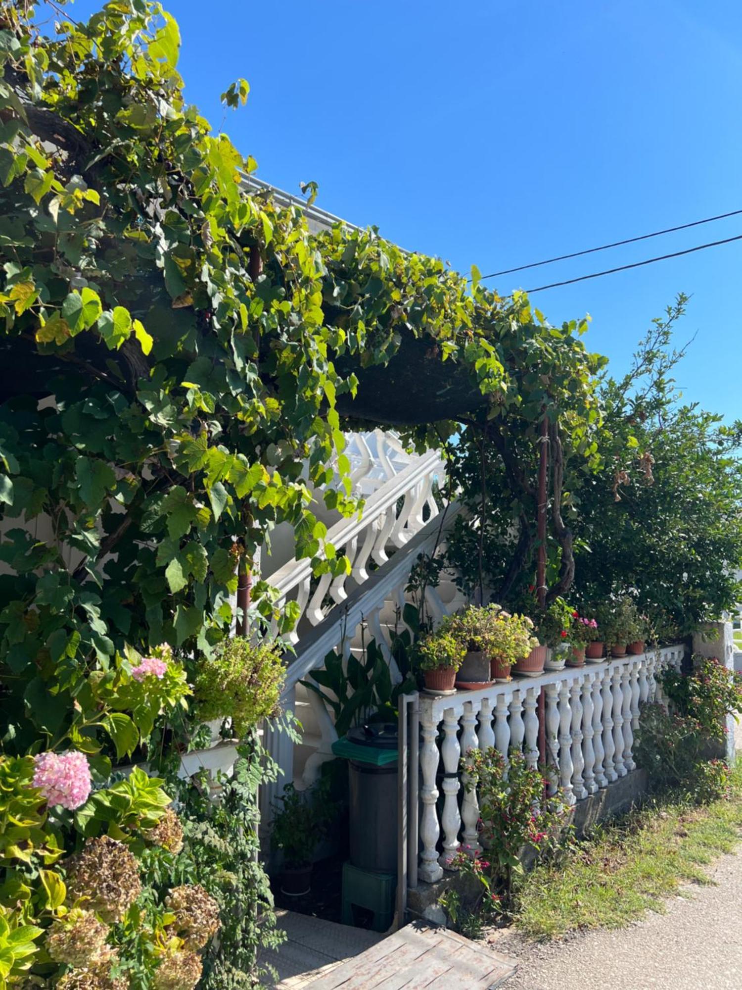 Kastrati Apartments Ulcinj Buitenkant foto