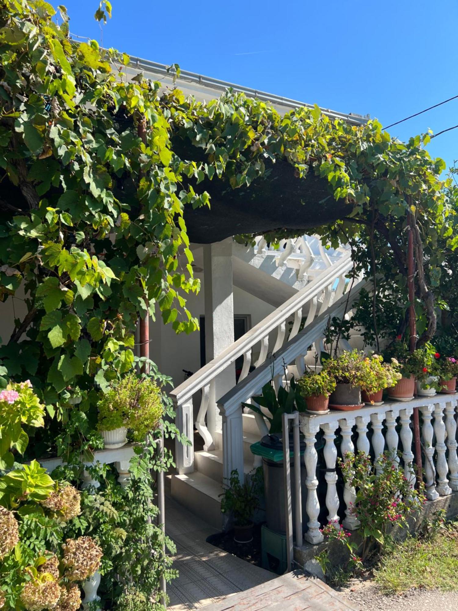 Kastrati Apartments Ulcinj Buitenkant foto